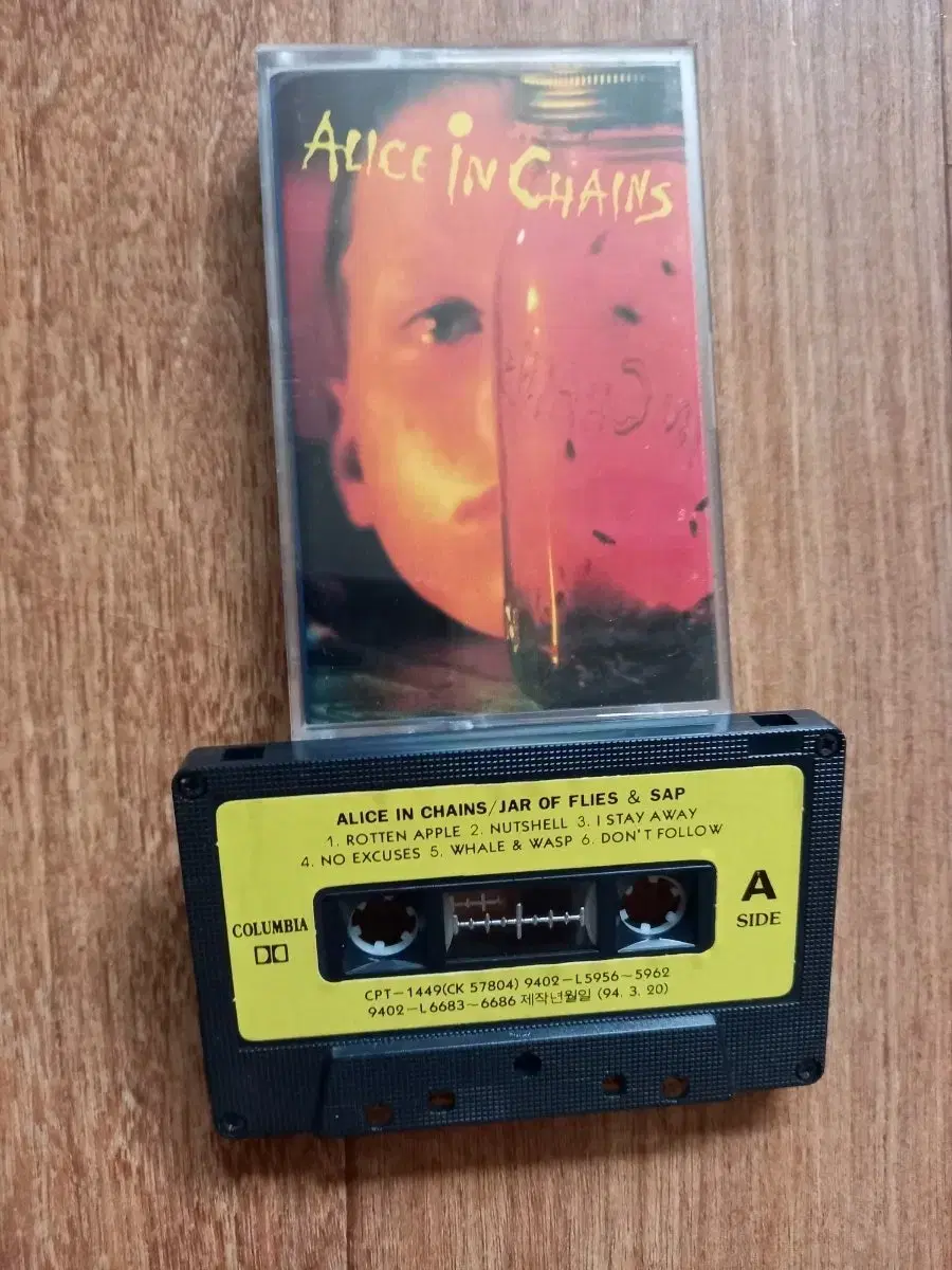 Alice in chains 카세트테이프